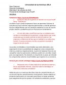 Explique la idea de la gestión en relación con lo que Ansoff llama “Turbulencia”