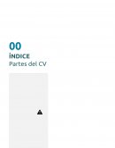 Plantilla de CV Modelo Alternativo