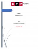 Ensayo paraisos fiscales