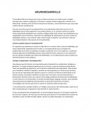 NEURODESARROLLO