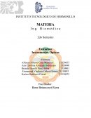 Instrumentos Ópticos