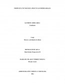 PROPUESTA TECNOLÓGICA PRÁCTICAS EMPRESARIALES