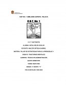 Ensayo Trastornos mentales