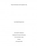 Sistemas De Información, Alfa Computadores Ltda