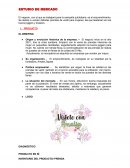 ESTUDIO DE MERCADO. EL BRIEFING