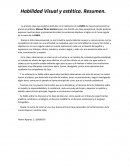 Habilidad Visual y estética. Resumen
