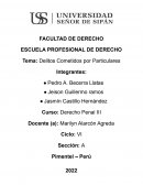 Delitos Cometidos por Particulares