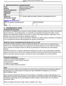 Motor de Fluido a Presión