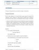 Trabajo: Manipulación manual de cargas: evaluación