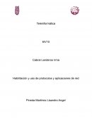 Habilitación y uso de protocolos y aplicaciones de red