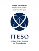 Entorno de mercadotecnia