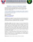 Modelación en el proceso de obtención de vitaminas