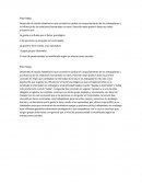 Teorias de administracion