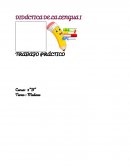 Didactica de la lengua-Fundamentación - Torres Florencia