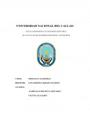 PERICIAS EN AUDITORIAS