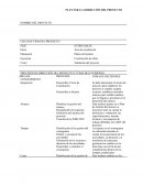 PLAN PARA LA DIRECCIÓN DEL PROYECTO