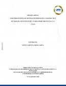 TRABAJO AUDITORIA INFORMATICA PROPUESTA