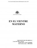 EN EL VIENTRE MATERNO
