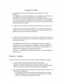 Preguntas del “FORO”