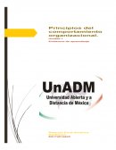 Comportamiento Organizacional_Principios del comportamiento organizacional