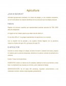 Apicultura ¿Qué es Apicultura?