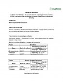 Informe Mesofilos, hongos y levaduras
