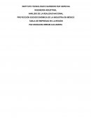 ANÁLISIS DE LA REALIDAD NACIONAL PROYECCIÓN SOCIOECONÓMICA DE LA INDUSTRIA EN MÉXICO