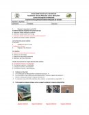 Examen de Recuperación Sistema Integrado de Gestión