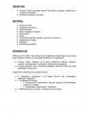 CURES FERIDES CRÓNIQUES