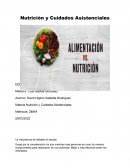 Materia Nutrición y Cuidados Asistenciales