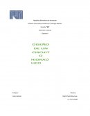 DISEÑO HIDRAULICO