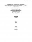USUARIOS QUE UTILIZAN SERVICIOS DE TAXI POR APLICATIVO