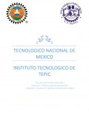 Estrategia de escritura y síntesis gráfica (Ensayo)