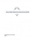 Arcos y Anillos: Rostros de la muerte de una Estrella