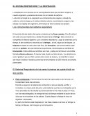 EL SISTEMA RESPIRATORIO Y LA RESPIRACIÓN