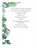 Ensayo Ciencias Sociales