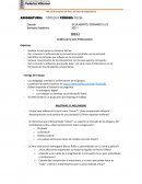 Análisis de la serie El Mecanismo