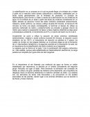 Informe esterificación