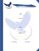 Sistemas Económicos