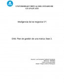 Plan de gestión de una marca, fase 3