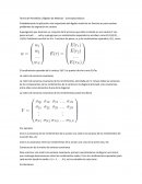 Teoría del Portafolio y Álgebra de Matrices - Conceptos Básicos