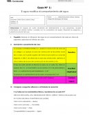 PLANTILLA - CASOS el agua