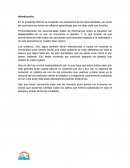 Informe producto de reciclaje