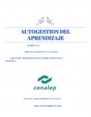 Administracion en mercadotecnia y logistica