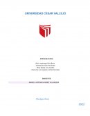 Perú superó el 80% de población objetivo vacunada contra el COVID-19 antes de culminar el 2021