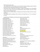 Que pasó en las Reformas Educativas 2013 y 2019