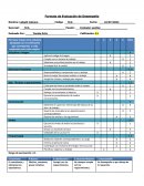 Formato de Evaluación de Desempeño