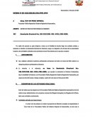 INFORME DE PRACTICAS PROFESIONALES AD HONOREM