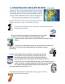 LA MARAVILLOSA CREACIÓN DE DIOS