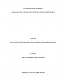 RELACIÓN ENTRE GLOBALIZACIÓN+GENERACIONES+REDES SOCIALES